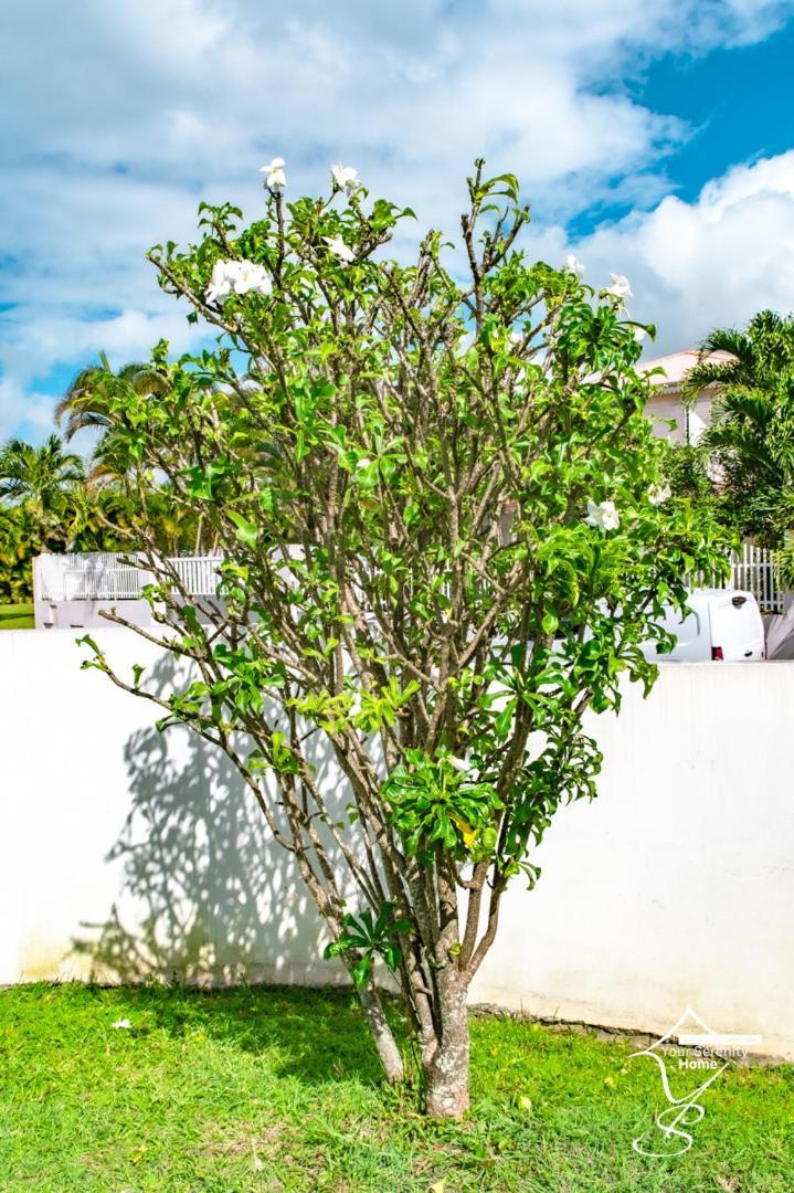 Villa Marissea Riviere-Salee Exterior foto